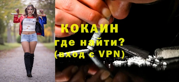 стафф Богданович