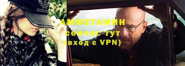 стафф Богданович