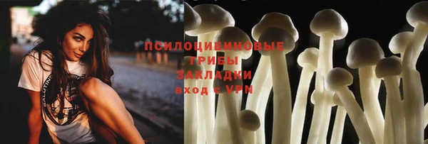 mdpv Богородицк