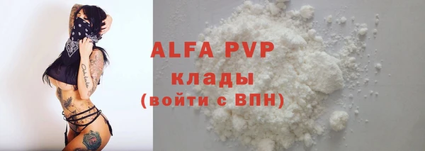 стафф Богданович