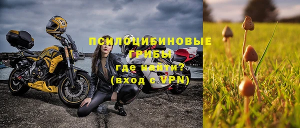стафф Богданович