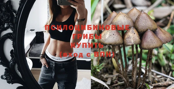 стафф Богданович