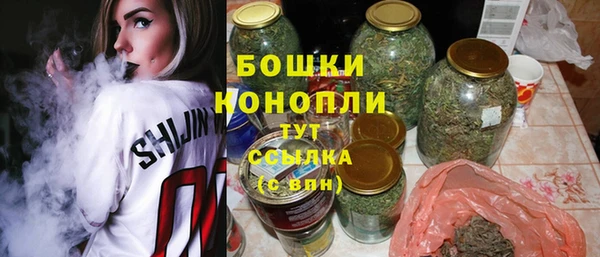 стафф Богданович
