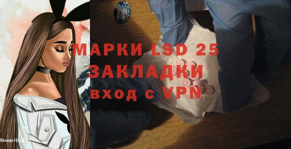 стафф Богданович