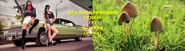 стафф Богданович